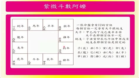 命盤查詢|靈匣網的紫微斗數線上排盤系統